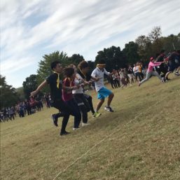 ennichi_20181028_0063