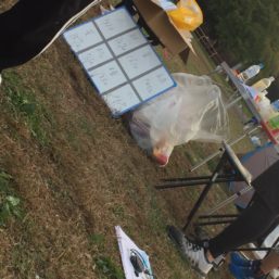 ennichi_20181028_0243