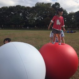 ennichi_20181028_0244