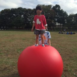 ennichi_20181028_0245