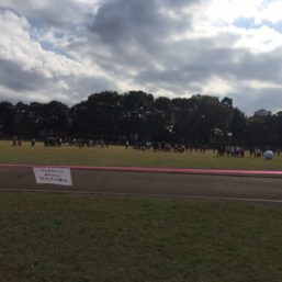 ennichi_20181028_0262