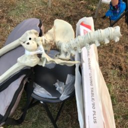 ennichi_20181028_0379