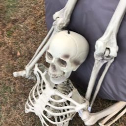 ennichi_20181028_0380