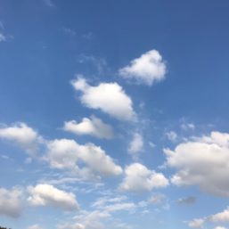 ennichi_20181028_0384