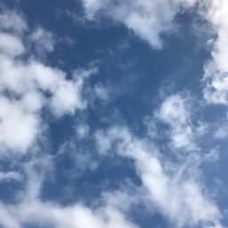 ennichi_20181028_0390