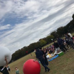 ennichi_20181028_0428