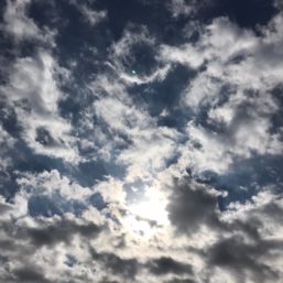 ennichi_20181028_0435