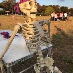 ennichi_20181028_0520