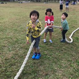 ennichi_20181028_0527